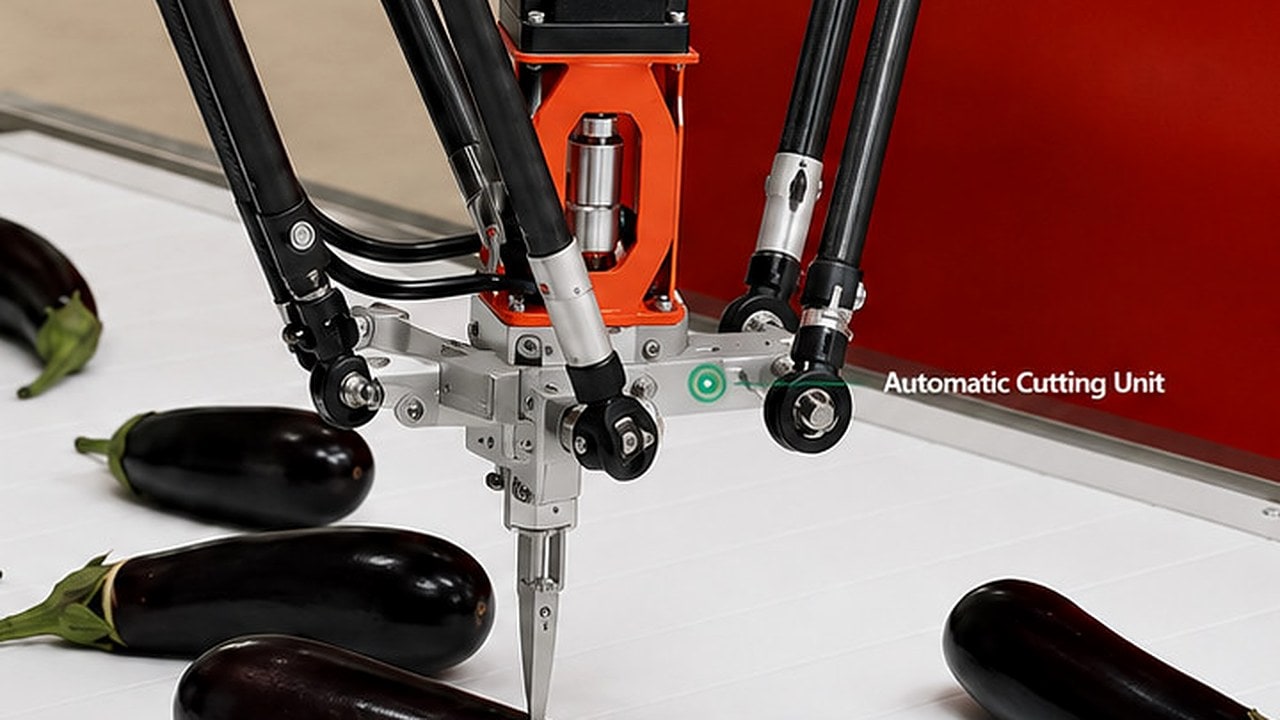 DOKTEK automatic cutting unit positioned over an eggplant during the head-cutting cycle