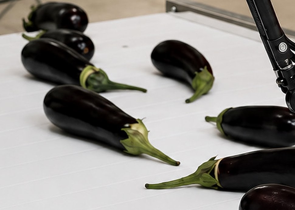 DOKTEK industrial eggplant processing machine used for automatic calyx and stem removal
