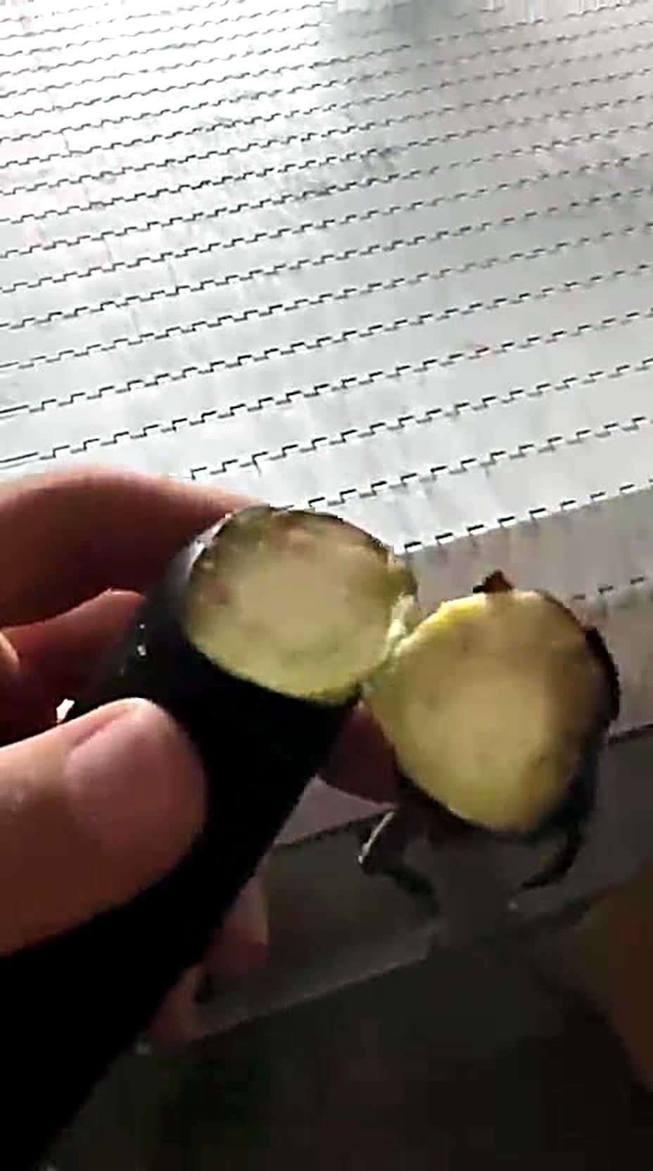 Cut face of an eggplant next to the removed stem cap after a DOKTEK stem cutter cycle