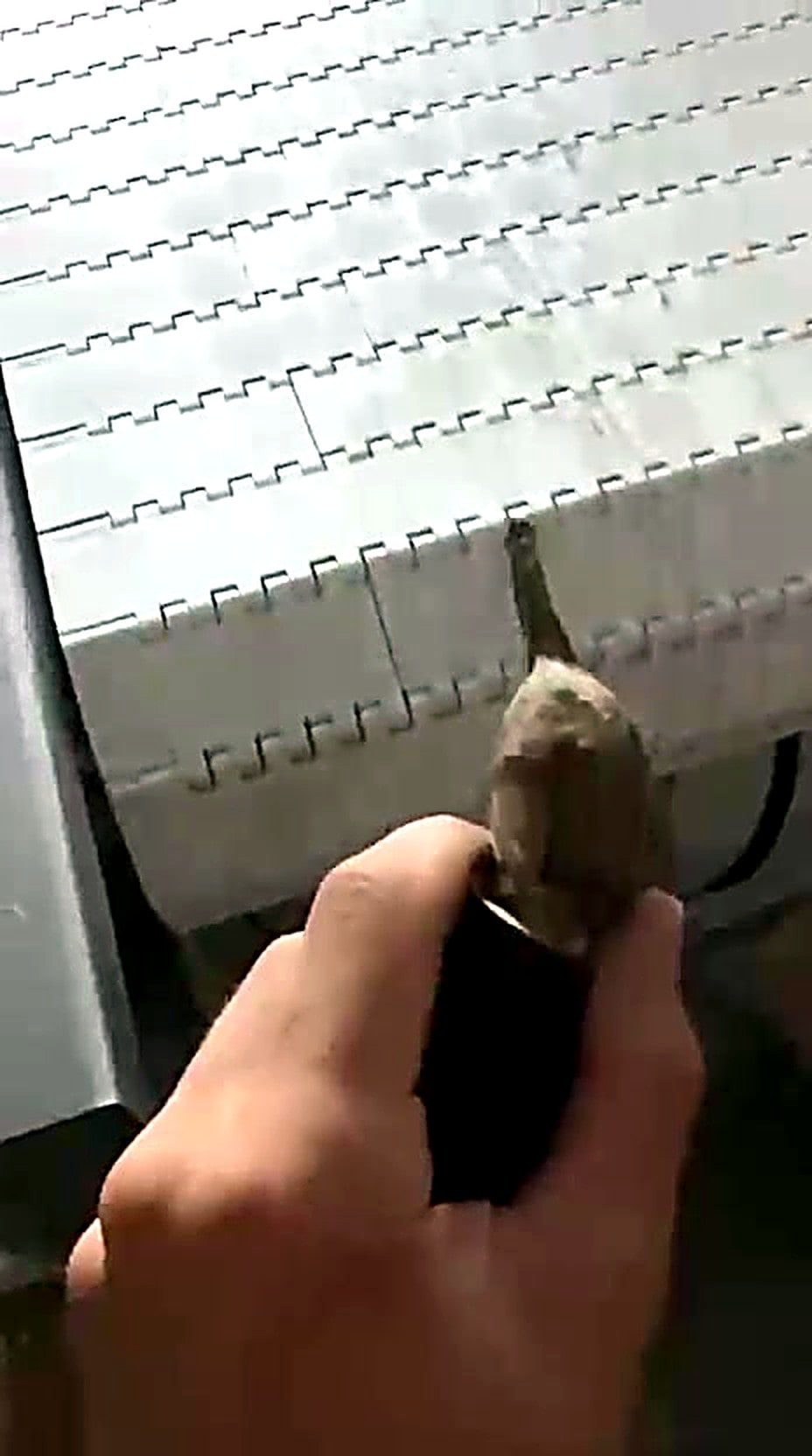 Removed eggplant stem and calyx cap after automatic topping on a DOKTEK machine