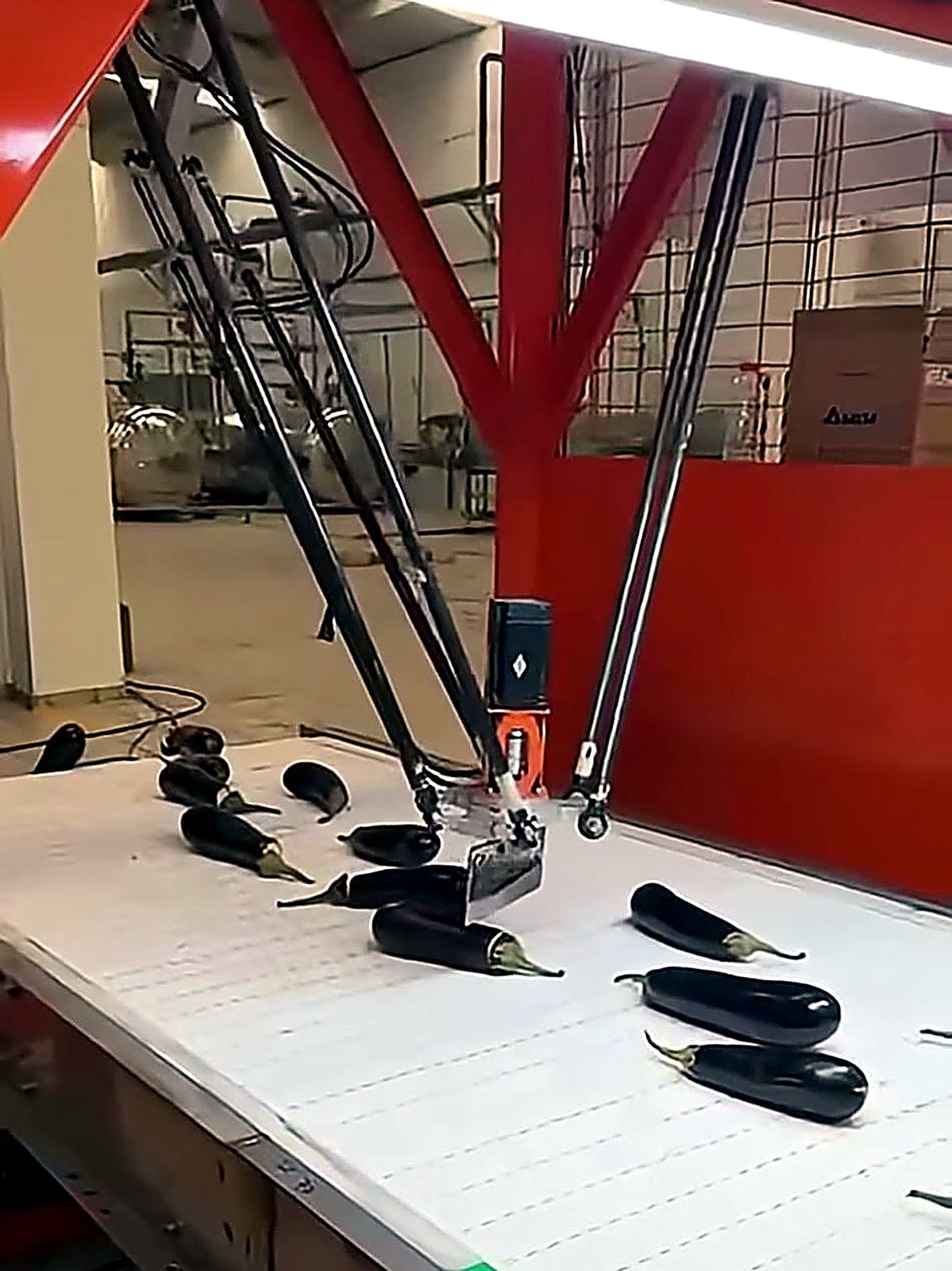 Robotic eggplant stem cutting process inside a DOKTEK machine