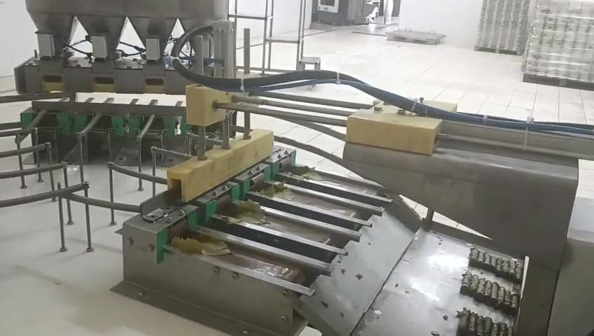 DOKTEK grape leaf dosing and filling station on the pilot line