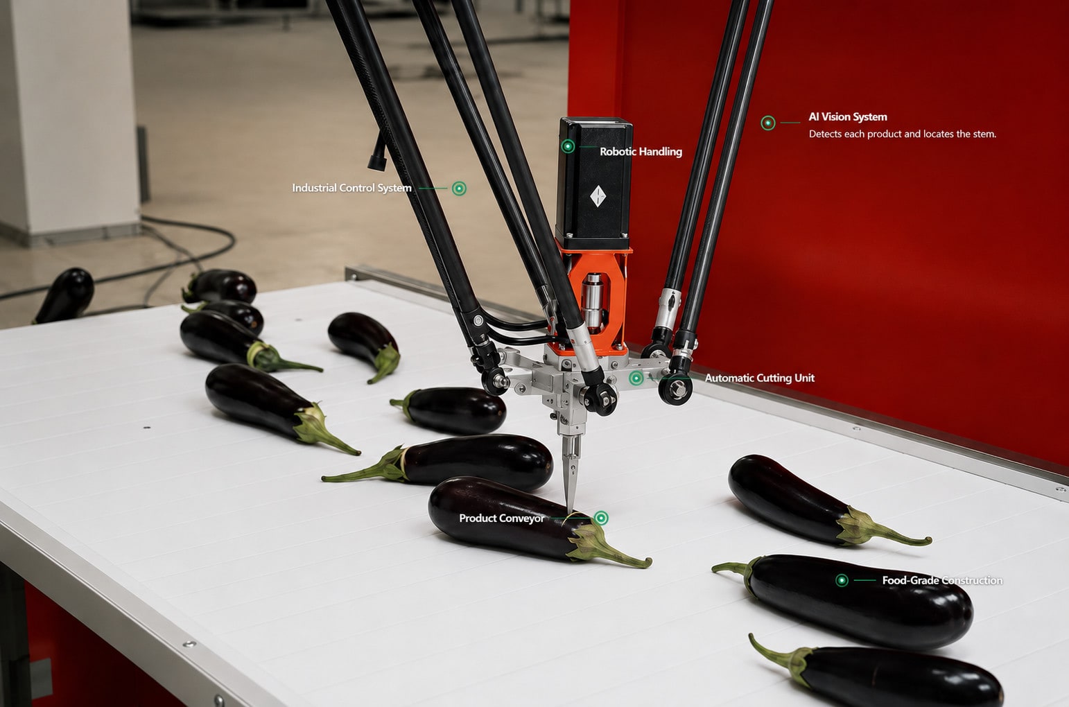 DOKTEK automatic eggplant stem cutting machine with its labeled vision, robot and conveyor components